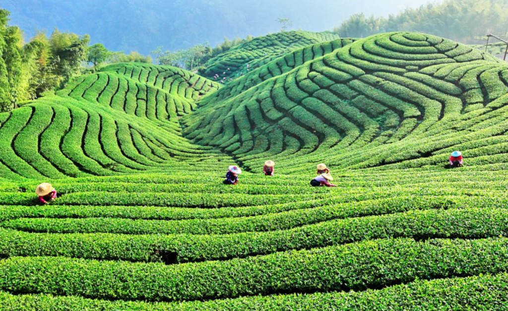 微信图片 20260414082706 1113 69